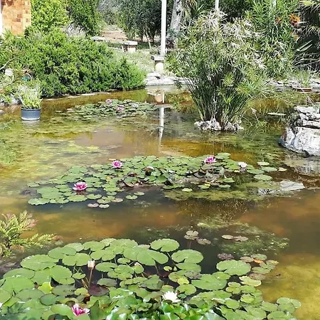 Casa Relax غالّيبولي